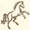 horse.jpg (37726 bytes)